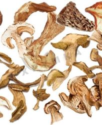 Сушка грибов в духовке