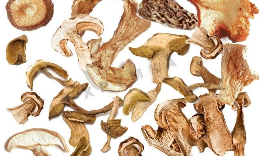 Рецепт сушки грибов в духовке