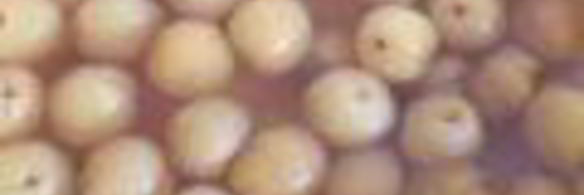 абрикосовое варенье с косточками из абрикосов на зиму