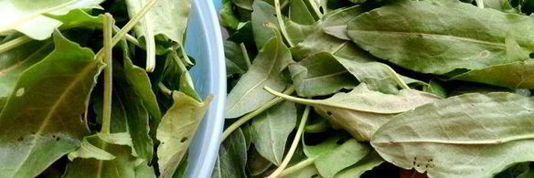 щавелевое варенье