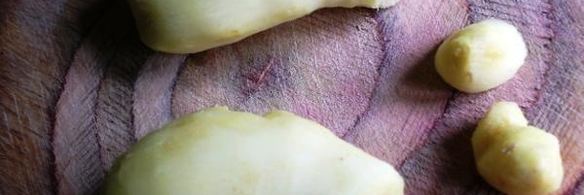 сироп цукаты имбирные