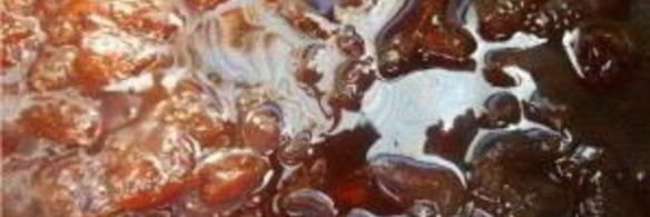 варенье из белого винограда с косточками