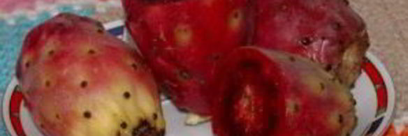 варенье из кактуса