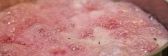 варенье из кактуса