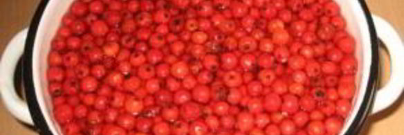 варенье из садовой рябины