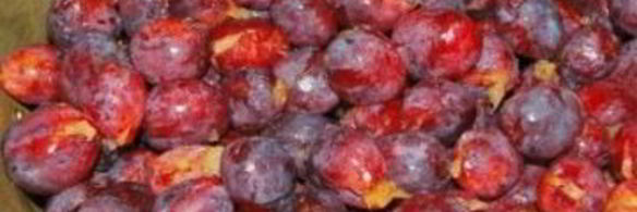 варенье из слив без варки