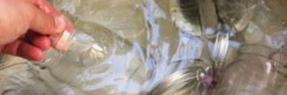 варенье из сливы без косточек