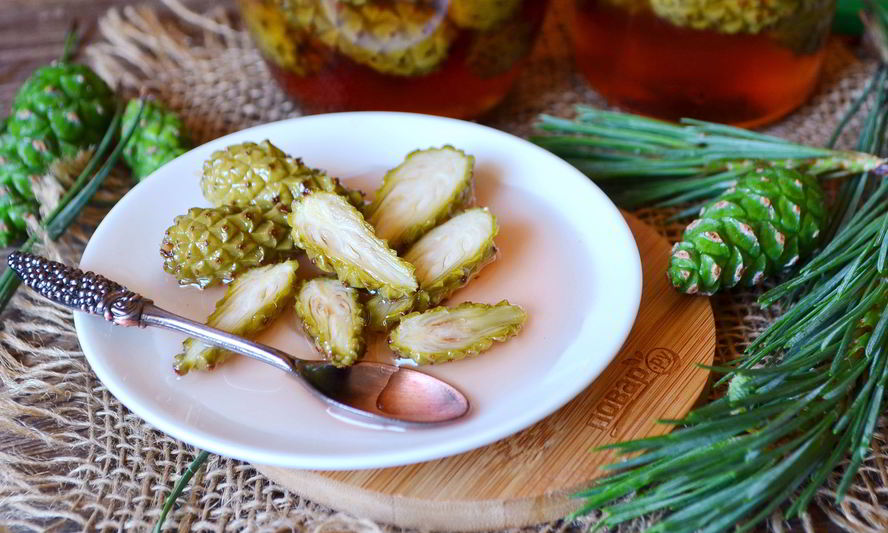 Рецепт варенья из сосновых шишек