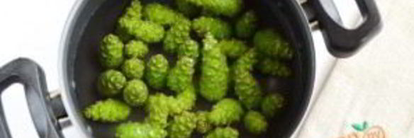 варенье из сосновых шишек