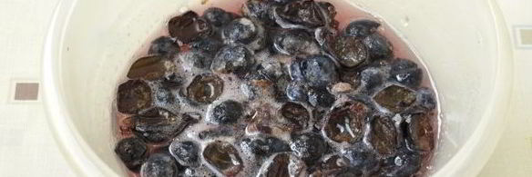 варенье из терна без косточек пятиминутка