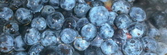 варенье из терна