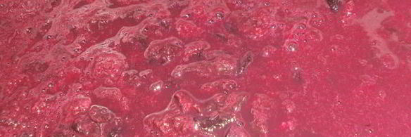 варенье из терна