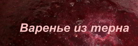 варенье из терна