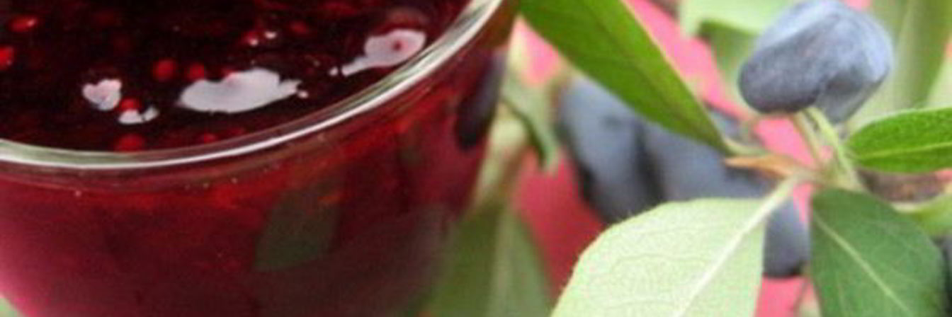 Варенье из жимолости пятиминутка