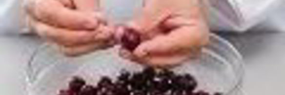 вишневое варенье в мультиварке