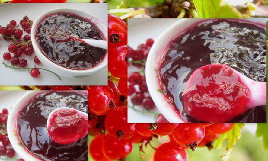 Рецепт желированного варенья из красной смородины