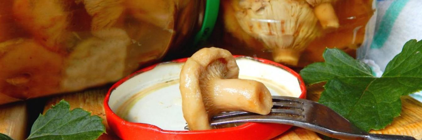 Волнушки соленые на зиму