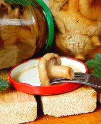 Волнушки соленые на зиму