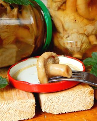 Волнушки соленые на зиму