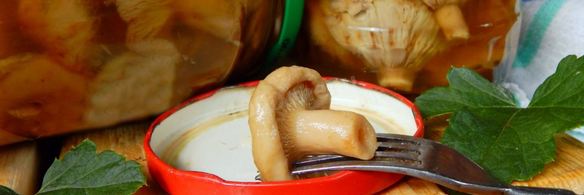 волнушки соленые на зиму