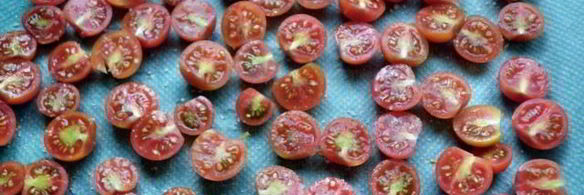 вяленые помидоры черри