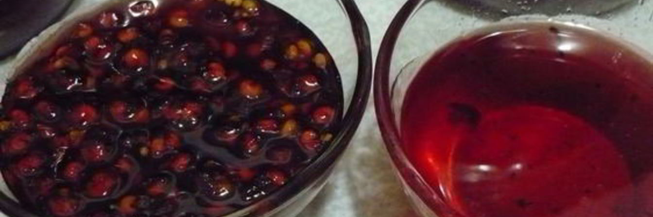 Заготовка лимонника на зиму