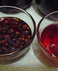 Заготовка лимонника на зиму