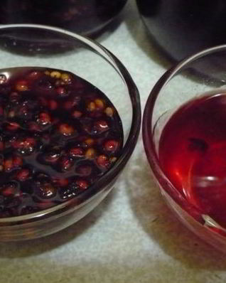 Заготовка лимонника на зиму