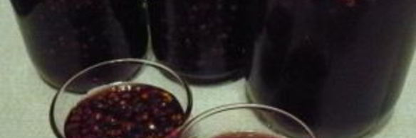 заготовка лимонника на зиму