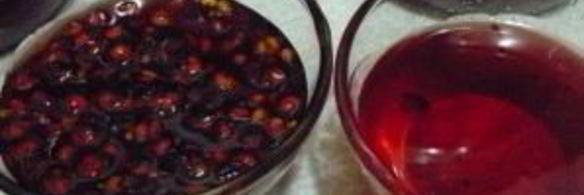 заготовка лимонника на зиму