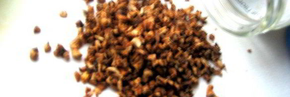 заготовка сухих овощей и трав