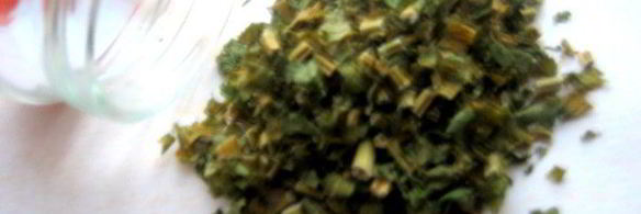 заготовка сухих овощей и трав