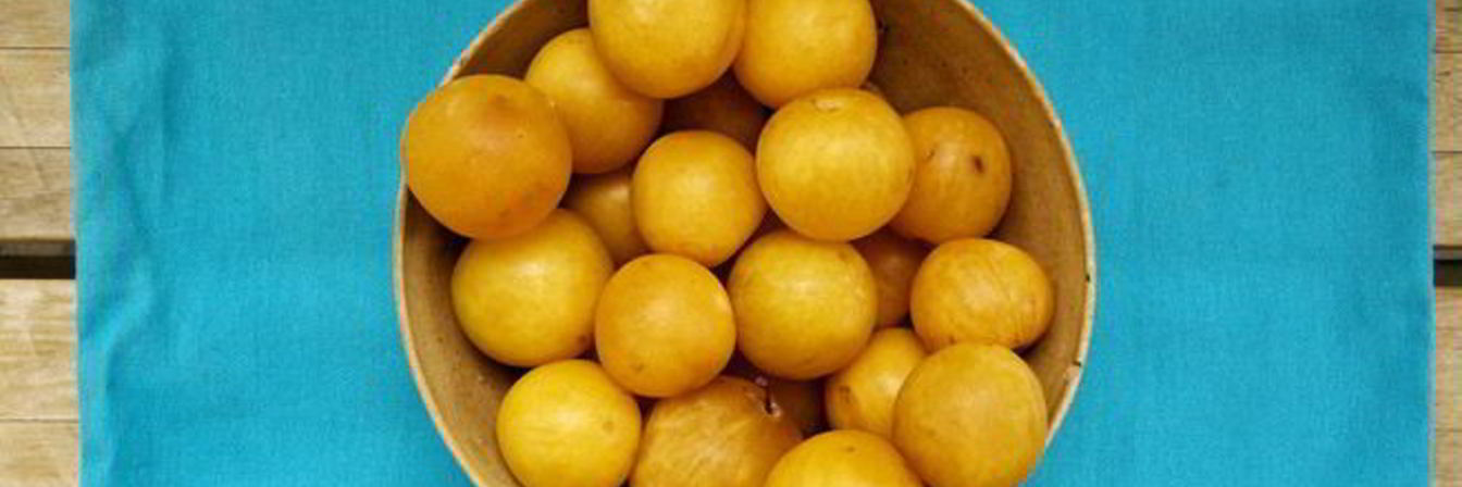 Заготовки из алычи