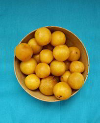 Заготовки из алычи