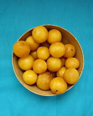 Заготовки из алычи