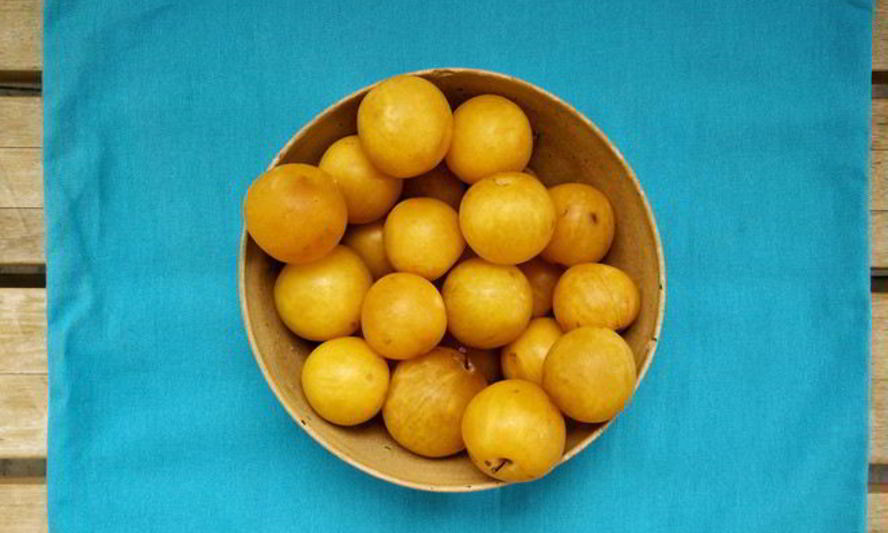 Рецепт заготовок из алычи