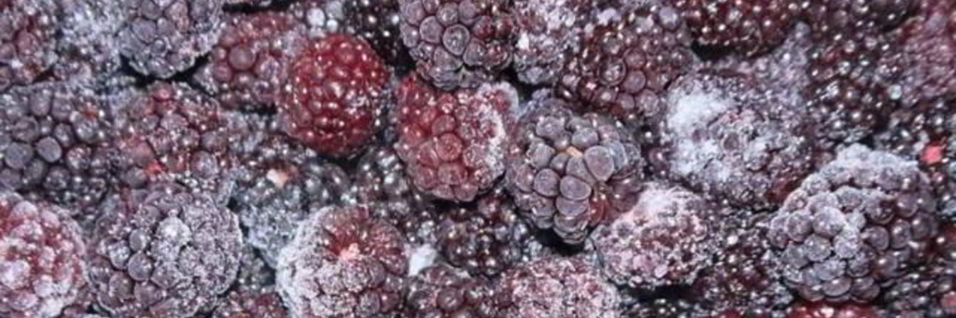 Заготовки из ежевики