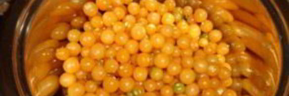 заготовки из физалиса