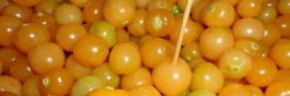 заготовки из физалиса