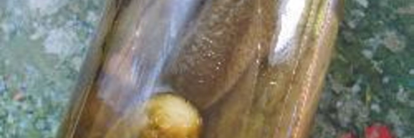 Заготовки из огурцов и кабачков с лимонной кислотой