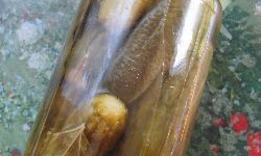 Рецепт заготовок из огурцов и кабачков с лимонной кислотой