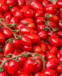 Замороженные помидоры