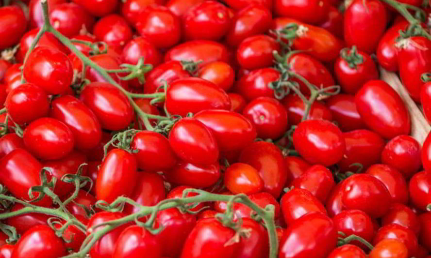 Рецепт замороженных помидоров