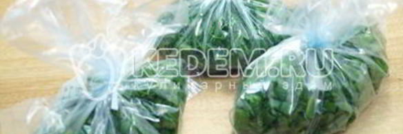заморозка зелени на зиму