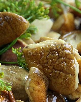 Засолка белых грибов на зиму