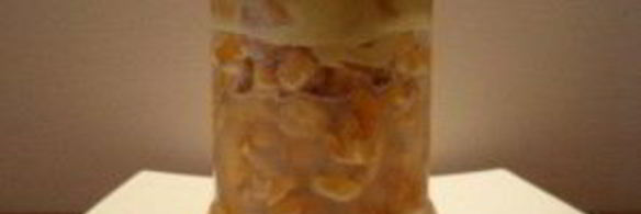 жареные лисички на зиму