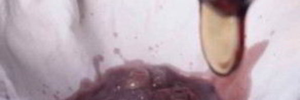 желе из винограда на зиму