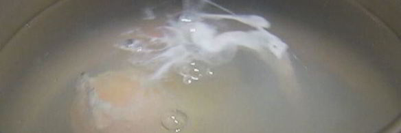 бутерброд с грибами, помидором и яйцом пашот