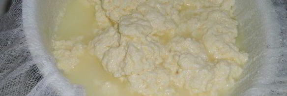 бутерброды с домашним мягким сыром на хлебцах