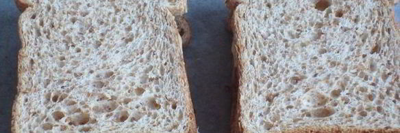 горячий бутерброд с тунцом и копченым сыром